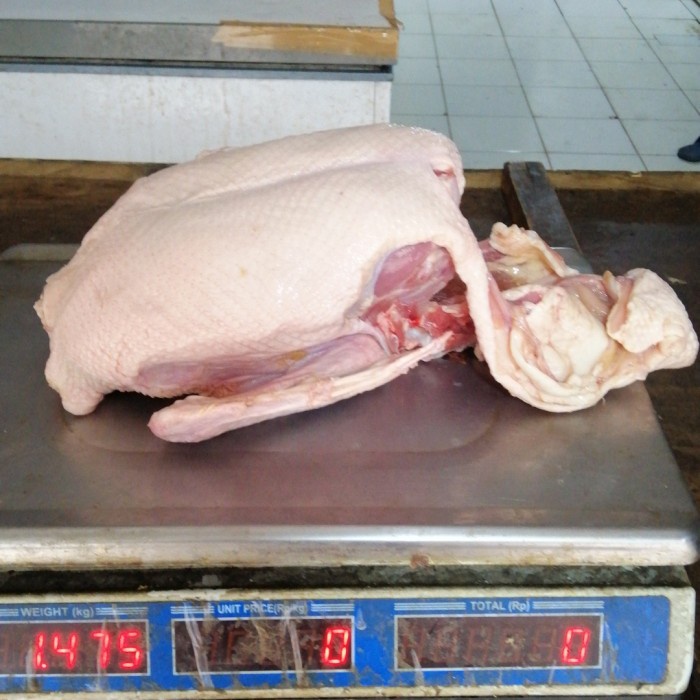 

daging bebek 2,5 kg tanpa kepala dan paha