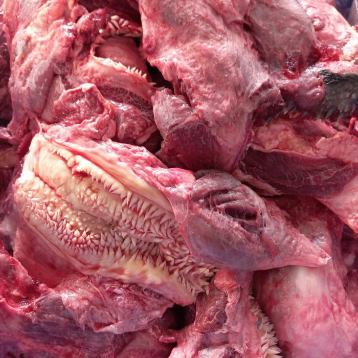 

HJK Daging lip / cingur 1 kg