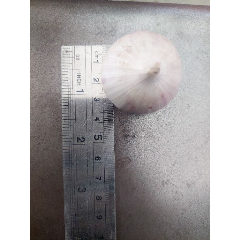 

Bawang Putih Tunggal fresh 1kg