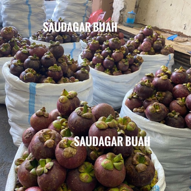 

BUAH MANGGIS SEGAR 1KG