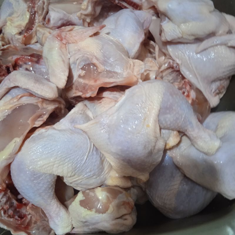 

Ayam Broiler karkas frozen segar 500 gr s/d 1000 gr