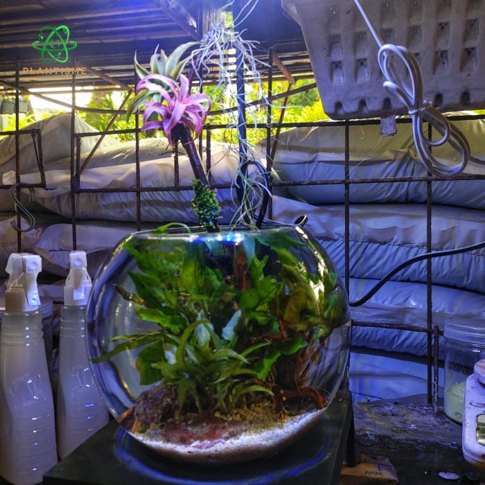 Mini Aquascape Planet Fullset Tatakan Filter Lampu Bowl 20Cm