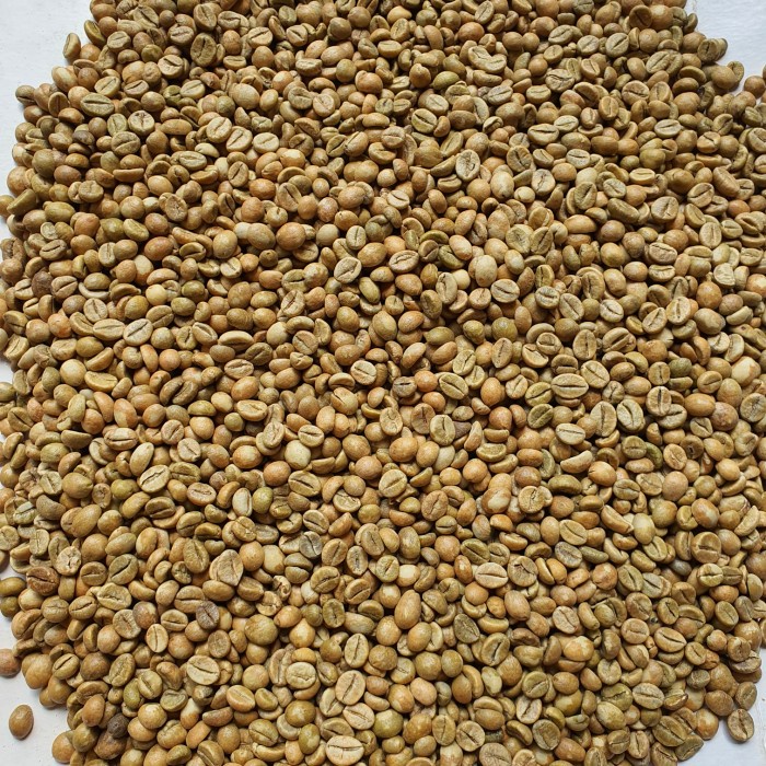 

JH8 Kopi Robusta Gunung Ijen Green Bean Grade A