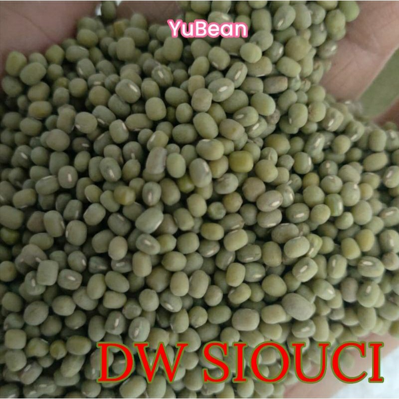 

AQS KACANG HIJAU DW SIOUCI WAKEMA TAUGE Per Kg