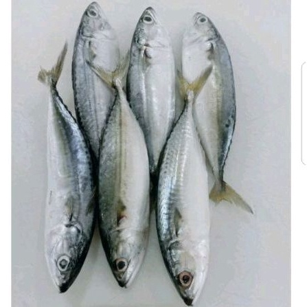 

Ikan Kembung Banjar 1 kg 6-10 ekor / Indian Mackerel / Seafood 22
