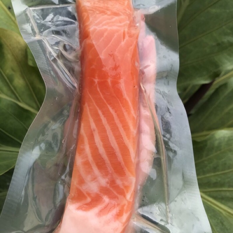 

Salmon Trout Norwegia - Ikan Salmon Berkualitas