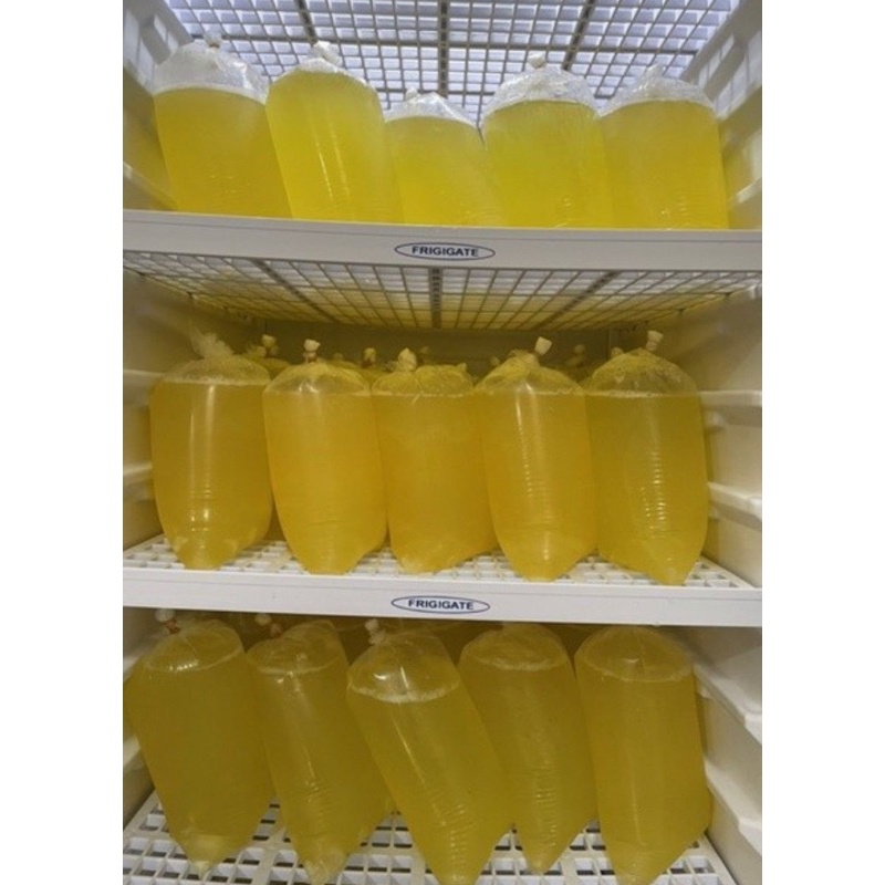 

PUTIH TELUR MENTAH FRESH BARU