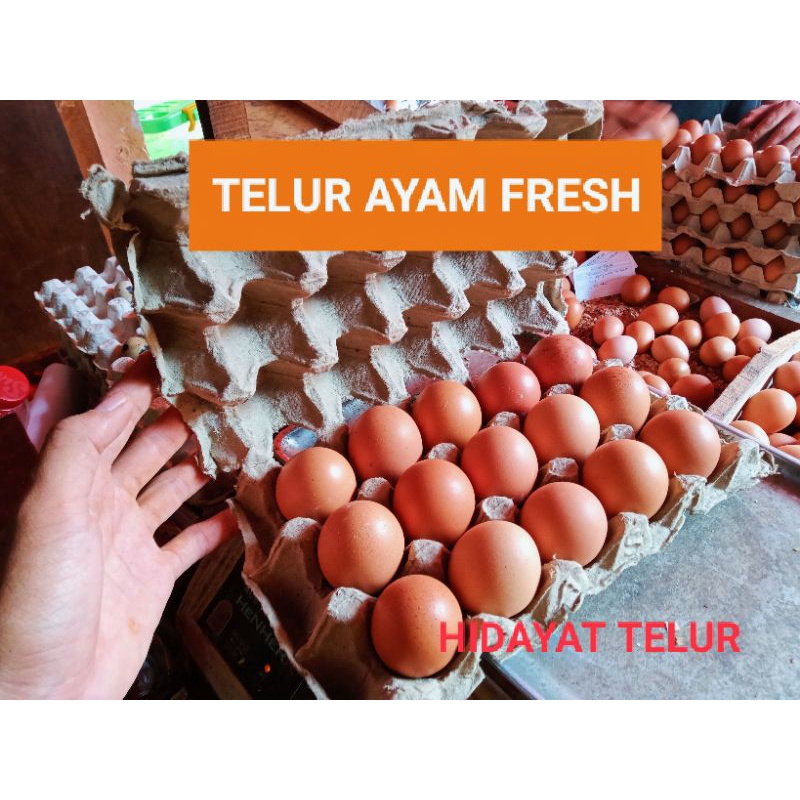 

TELUR AYAM NEGERI PER 15 BUTIR