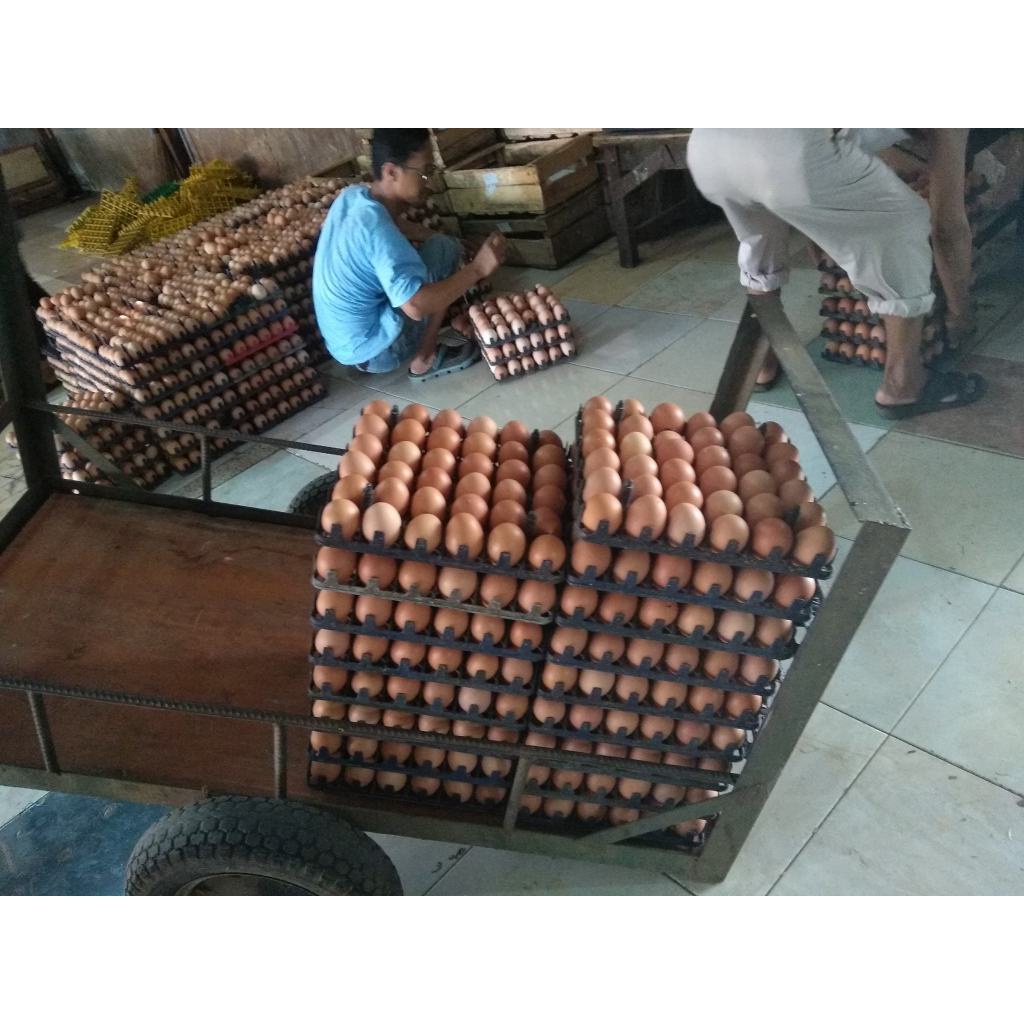 

Telur Ayam Negeri 1 kg