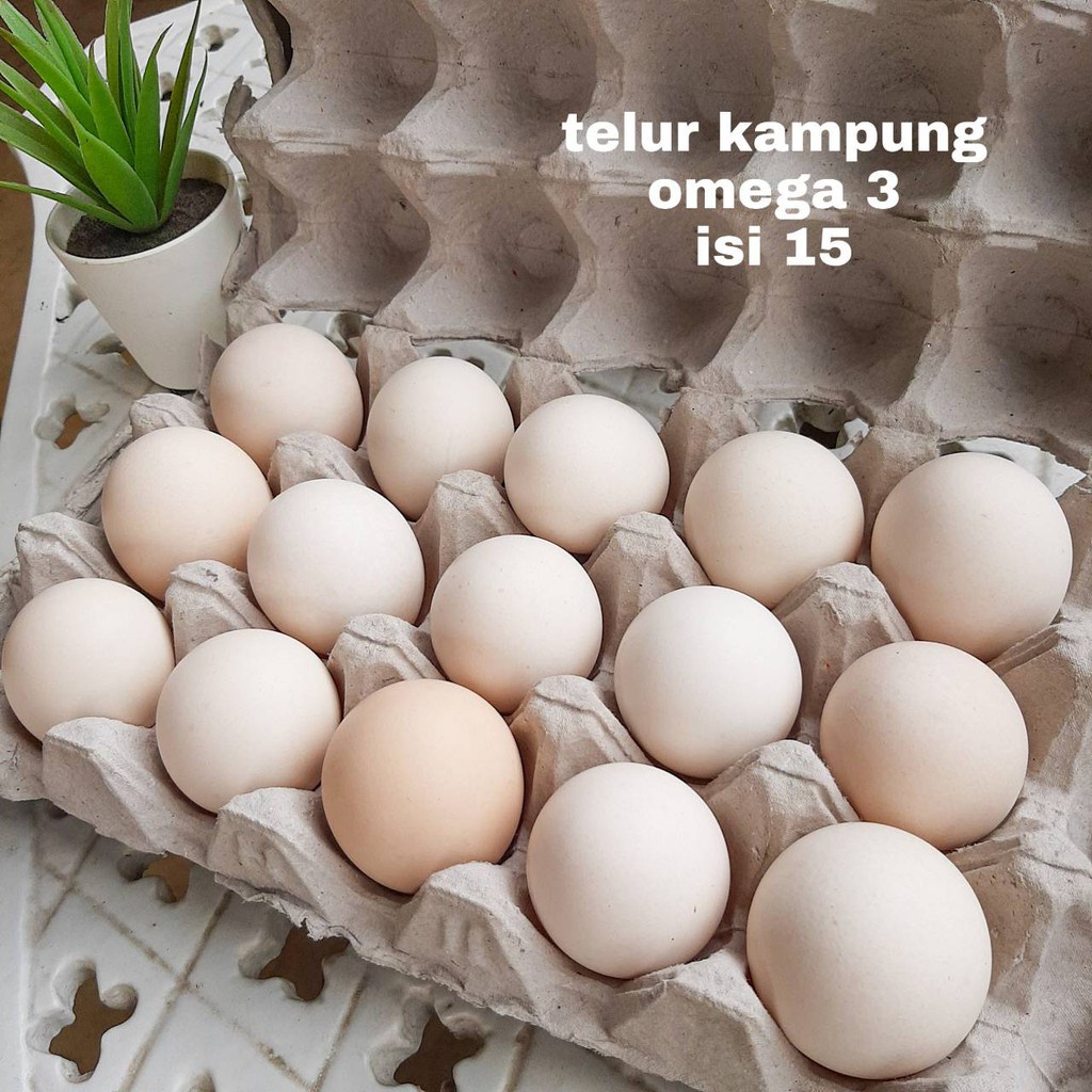 

Telur Ayam Kampung Omega 3 Isi 15 Butir
