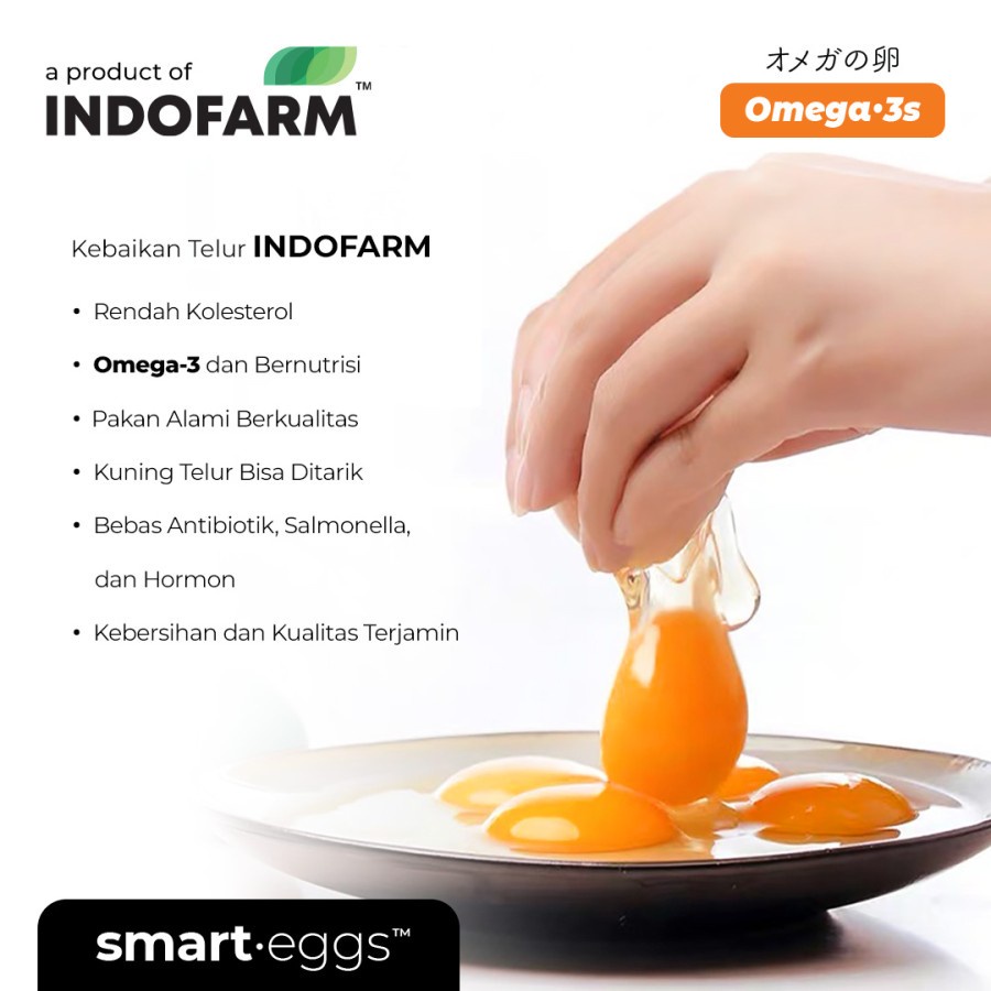 

LOLA Langsung Order Langsung Antar Telur Ayam Omega 3 Organik INDOFARM Smart Eggs 1 box foam 20