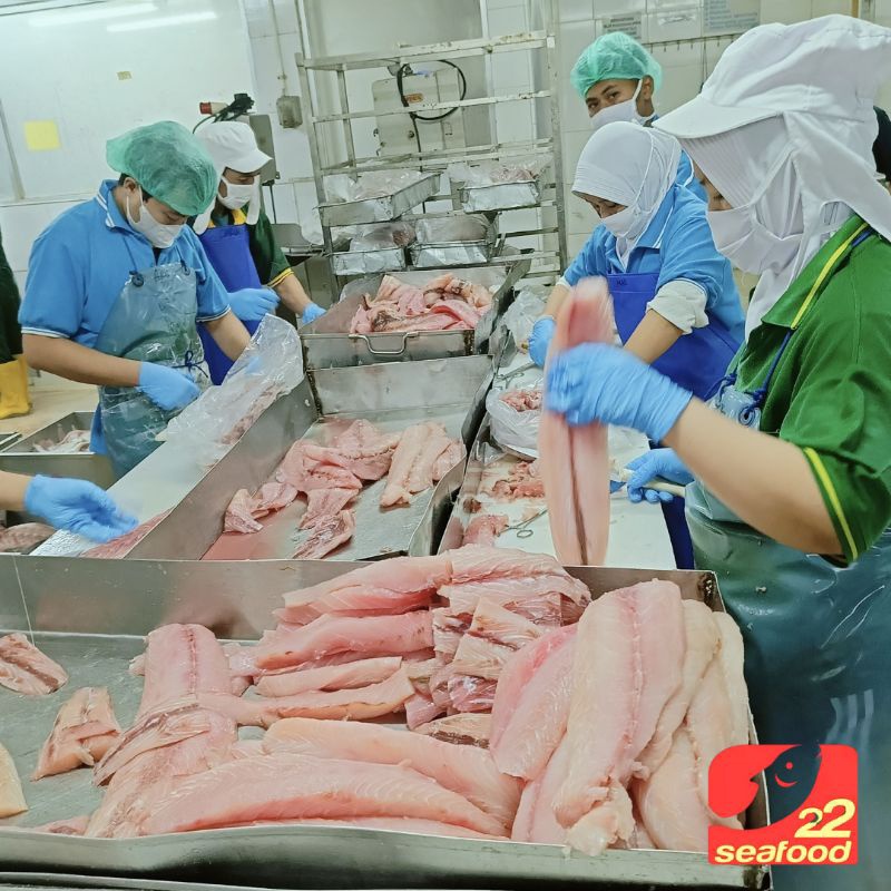 

Gabus Fillet 500 gr / Ikan Gabus Laut / Cobia / Export Quality / Seafood 22