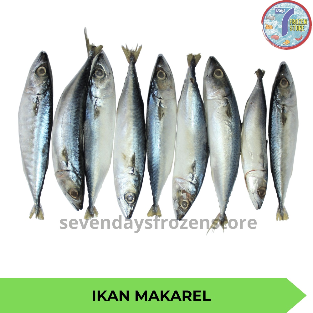 

Ikan Makarel Salem Sarden Beku Frozen 1 kg