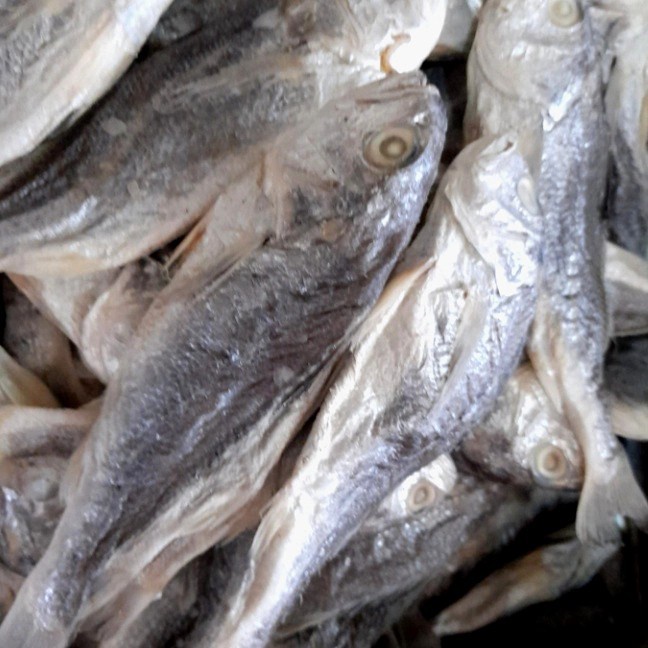 

(Good) Ikan Kepala Batu 250 gram