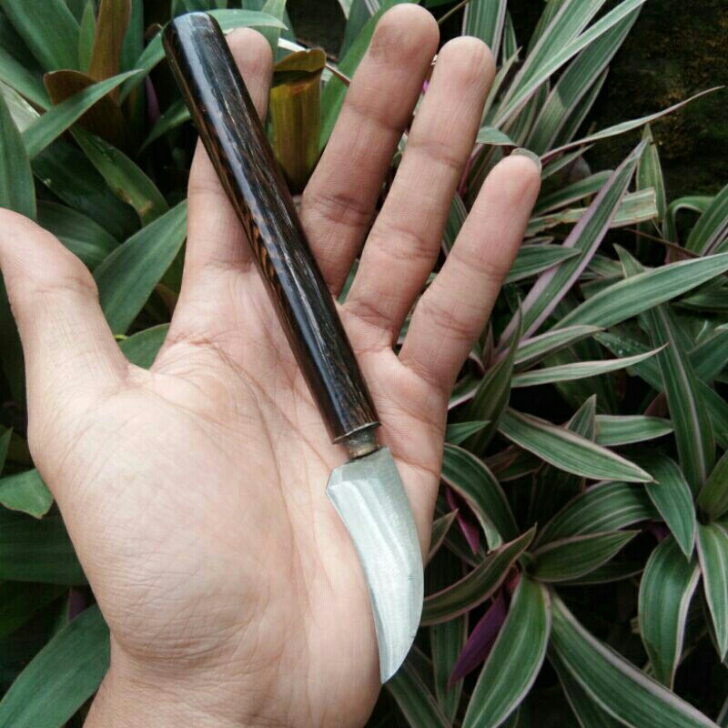 

Pisau Serut Kayu Bambu Multifungsi Pisau Stek Okulasi Pisau Ukir