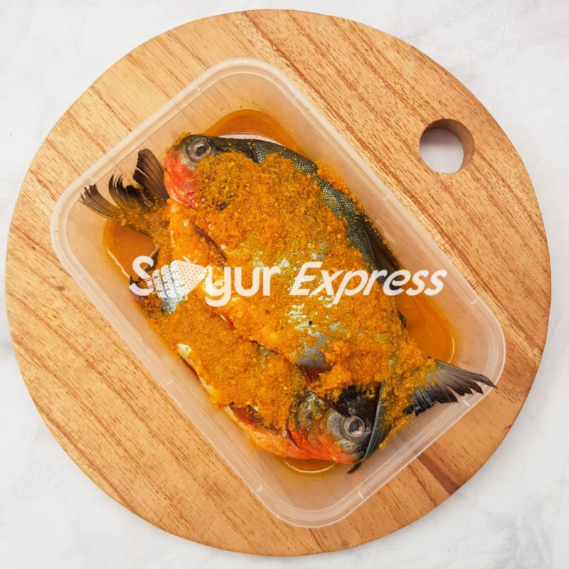 

KIRIM INSTAN Ikan Bawal Bumbu Kuning 2 ekor