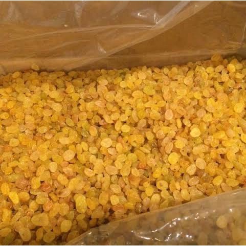 

(Good) Kismis Simin 1kg Raisin Manis Golden Kuning
