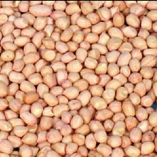 

Kacang Tanah Mentah 1kg