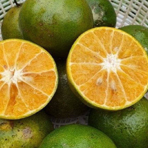 

1 kg Jeruk Peras Pontianak isi 9-10