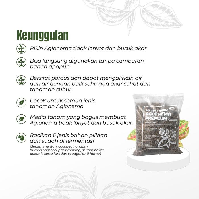 Media Tanam Aglonema Fermentasi Media Tanam Premium 2,5KG BY PLANTERIA.ID Tanah