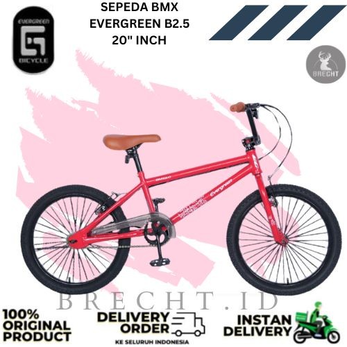 Sepeda BMX Anak EVERGREEN B2.5 20 Inch Kode 447