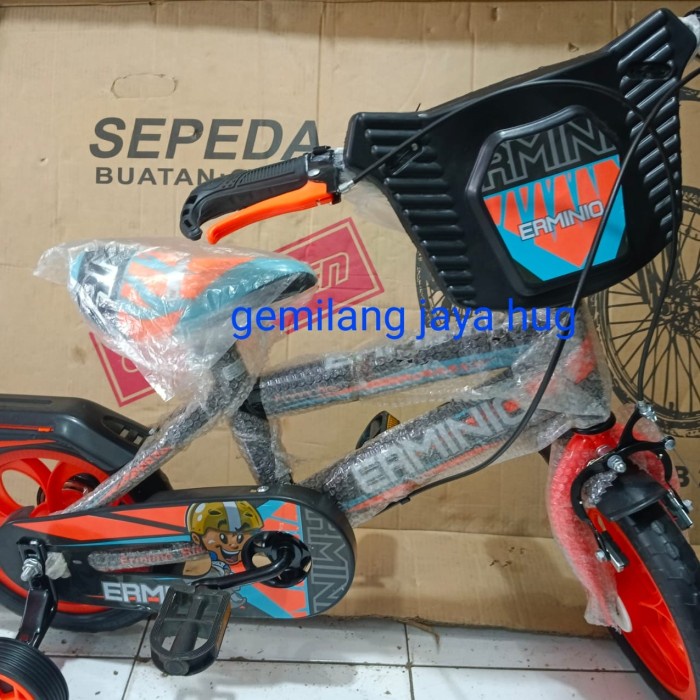 Sepeda Anak ERMINIO type BMX 12