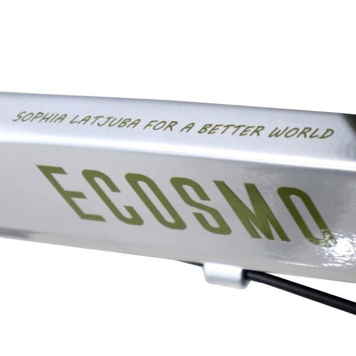 Terbaik Sepeda Lipat Folding Bike 20 Element Ecosmo 10 X Sophia Latjuba