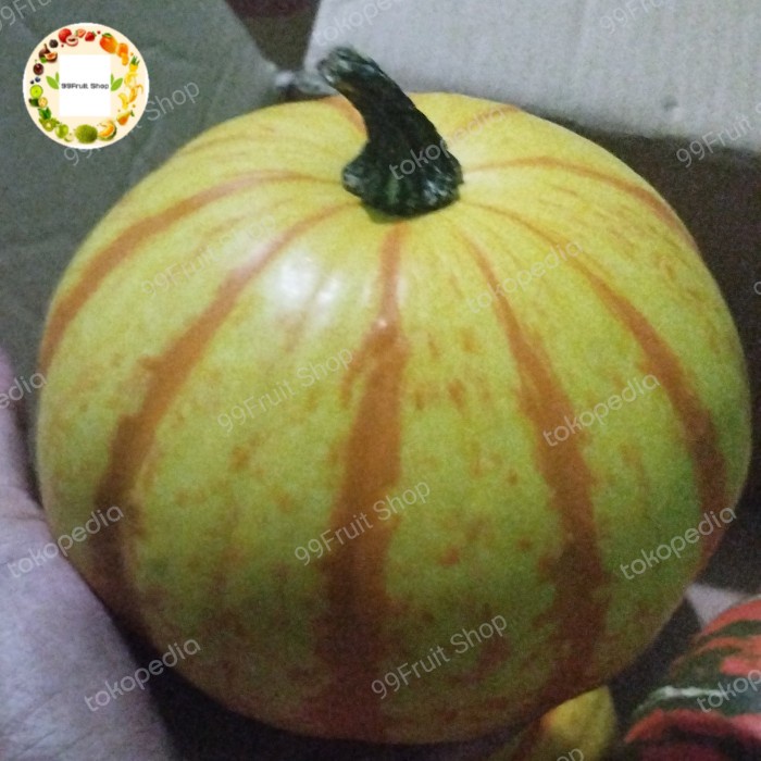 

pumpkin stripe pcs