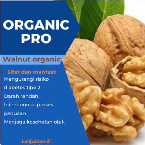 

WALNUT 1KG ,KACANG WALNUT MENTAH, RAW WALNUT