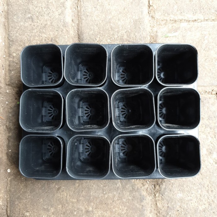 TRAY POT KOTAK 5 cm / TRYPOT KOTAK 5 cm ( DENGAN POT KOTAK 5 12 BH)
