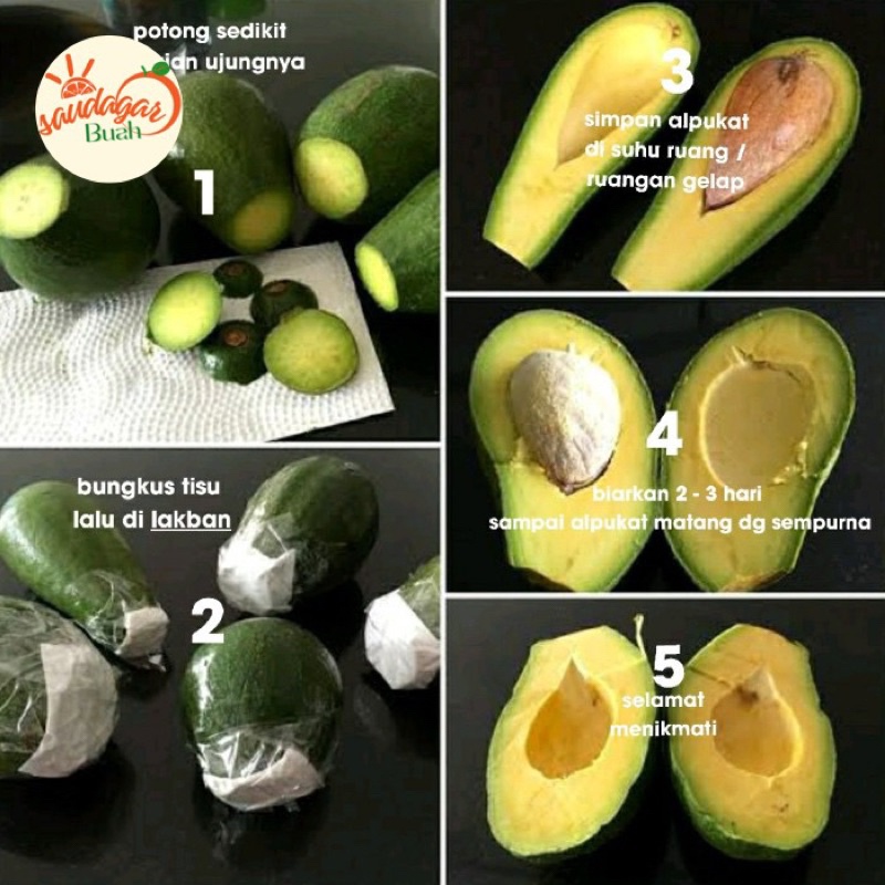 

BUAH ALPUKAT MENTEGA JAWA TENGAH SUPER 1KG WE!