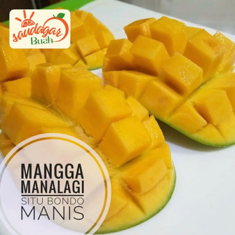 

BUAH MANGGA MANALAGI MANIS MANGGA SIMANALAGI 1KG MURMER WE!