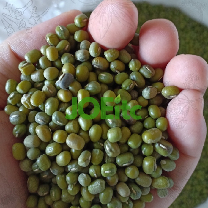 

kacang hijau bening aussie ( untuk bubur ) ukuran dan super.