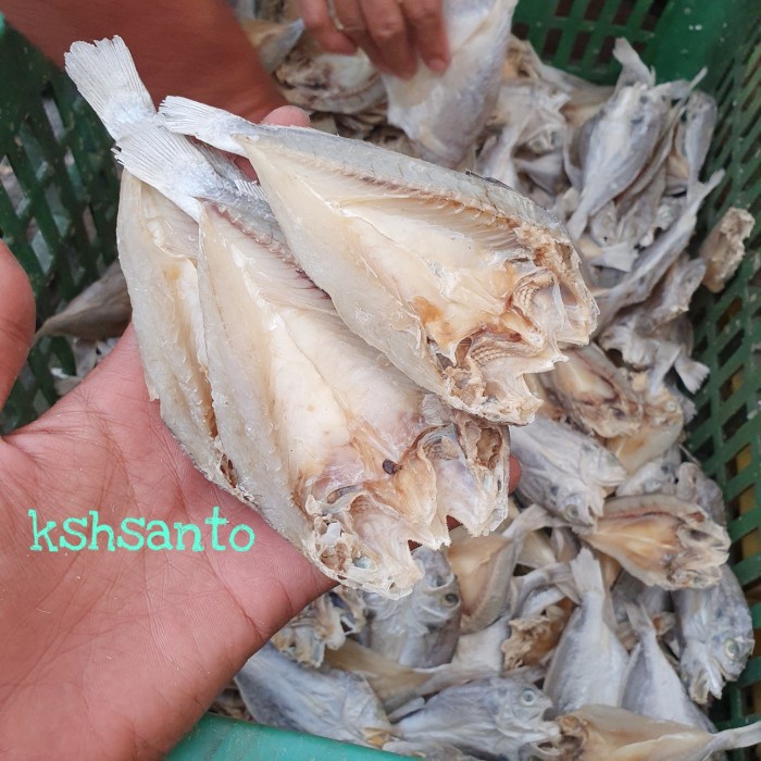 

Ikan Asin Aneka BELAH,BELAHAN netto-1kg