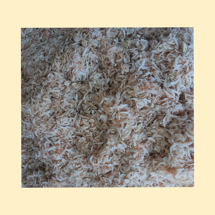 

Udang rebon / udang rebon fresh