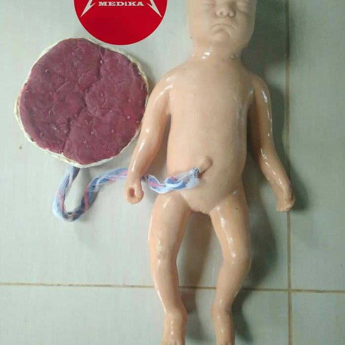 PHANTOM/MANIKIN/MANEKIN/Bayi plasenta silicone
