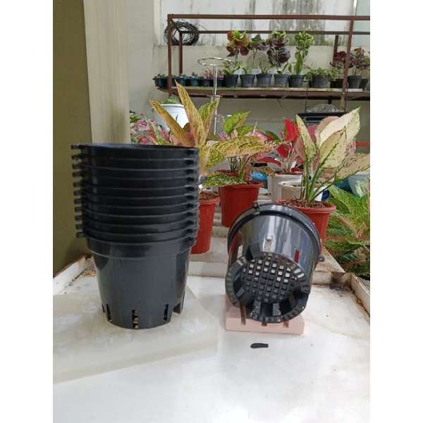 {{ Pot Plastik Anggrek 15 Paket Hemat Harga Perlusin (12Pcs) Warna Hitam Dan Putih Ready }}