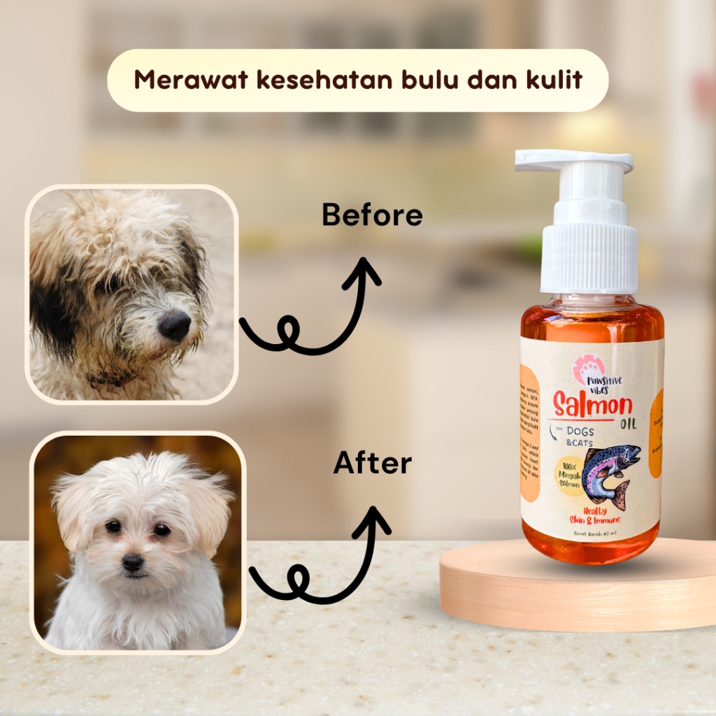 Minyak Salmon Murni 100% - Minyak Salmon Kucing Anjing - Salmon Oil Vitamin - Minyak Ikan Salmon