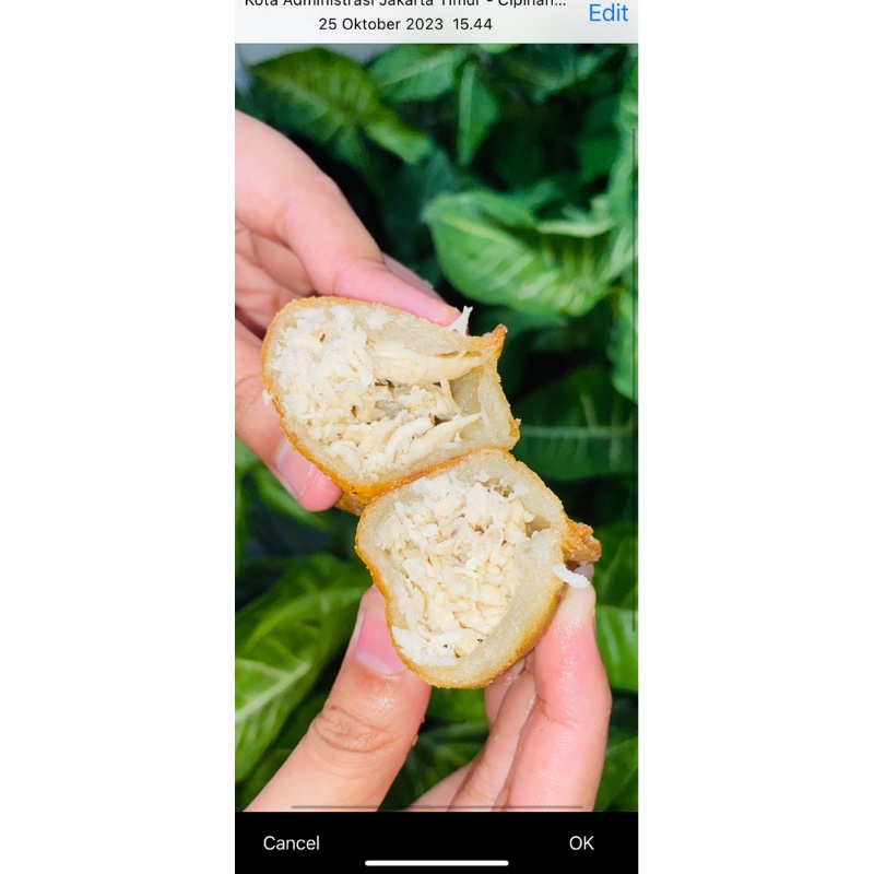 

A Promo Cireng Best Seller ( Isian Ada 3 Macam , Ayam Ori , Ayam Pedas Baso Mercon , Silahkan Isi