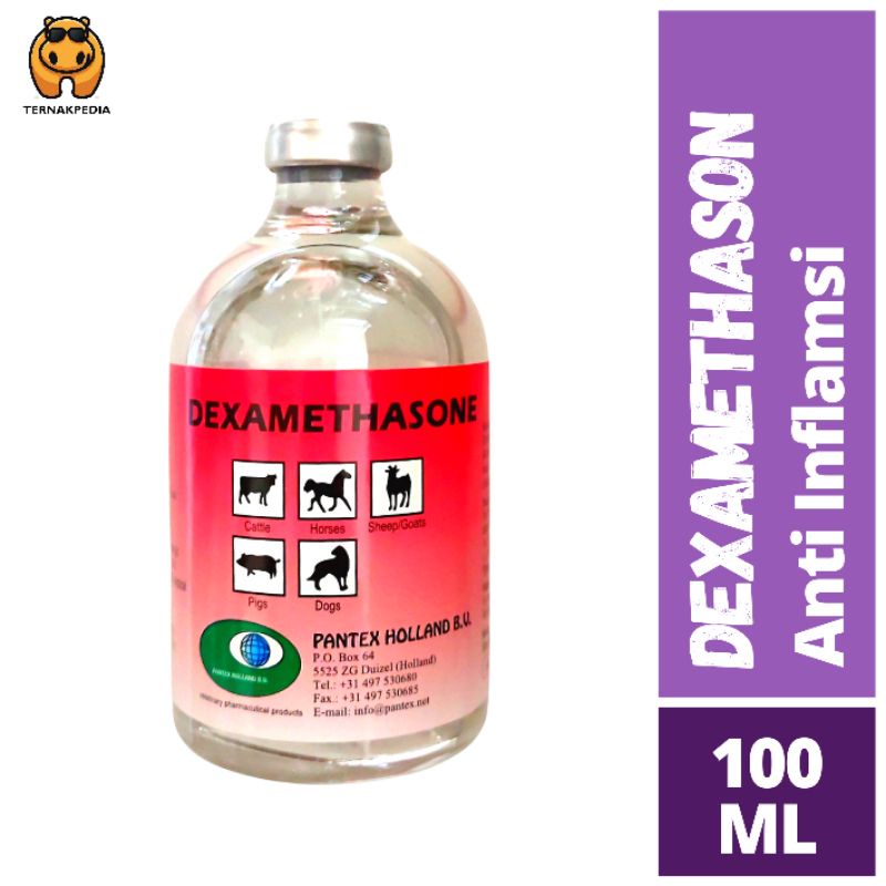 DEXAMETASON INJEKSI 100ML - OBAT ANTI INFLAMASI - DEXA 100ML