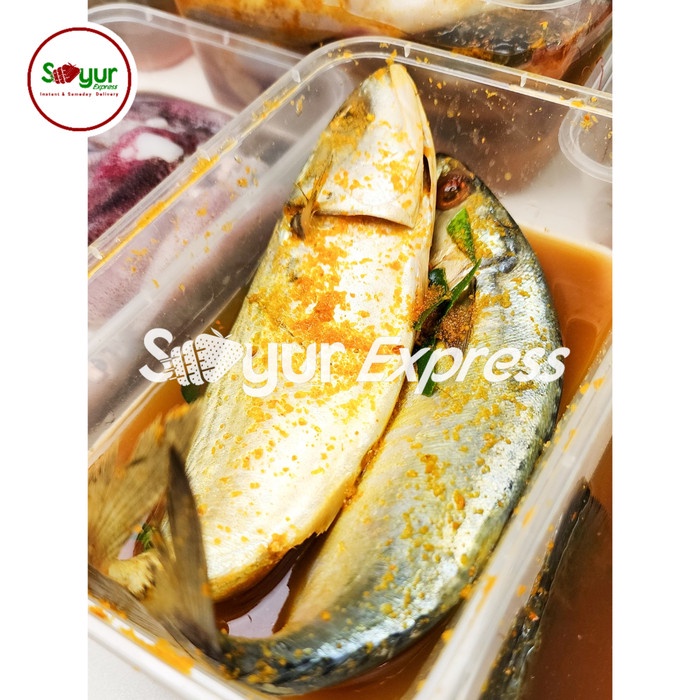 

UE239 KIRIM INSTAN Ikan Kembung Bumbu 2 ekor STOK TERBATAS