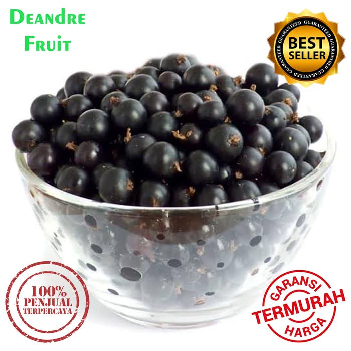 

Lezat- PROMO MURAH 500gr Buah Beku Blackcurrant IQF Frozen Utuh