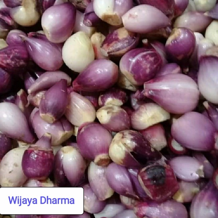 

Lezat- BAWANG MERAH KUPAS 500Gram