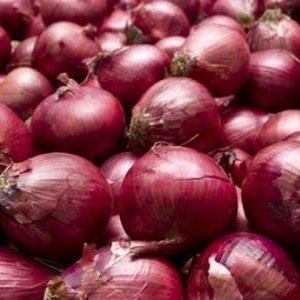 

Lezat- bawang merah super jumbo 1 kg