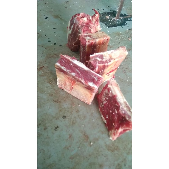 

Lezat- IGA SAPI SHORTRIB POTONG IMPORT FROZEN DAGING FRESH BUNTUT IKAN AYAM
