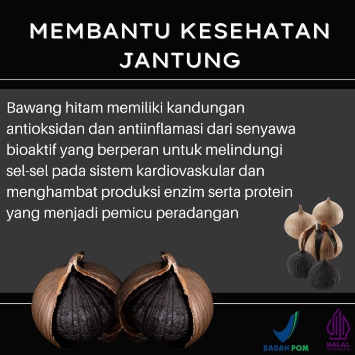 

Bawang Hitam Tunggal Lanang Black Garlic tunggal 100gr Serambi Botani