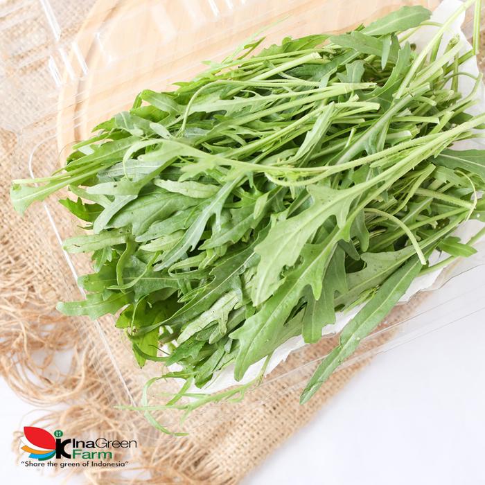 

Arugula Wild Rocket Fresh 100 Gram Inagreen Farm Bandung