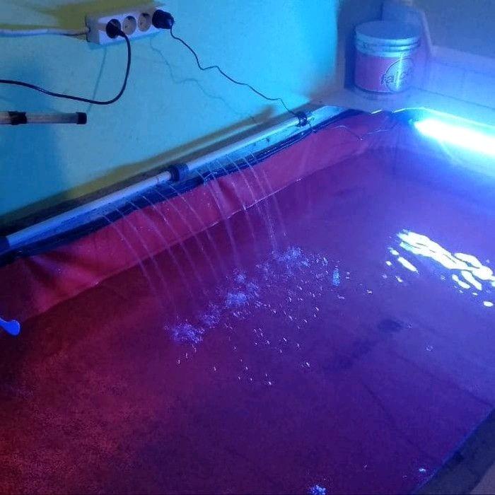 Purrfect Grooming Terpal Kolam Ikan 300X100X50 A12 Terpal Kolam Tebal