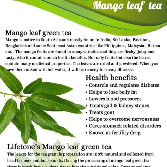 

BEST !! MANGO LEAF TEA : TEH DAUN MANGGA ISI 30 TEA BAG