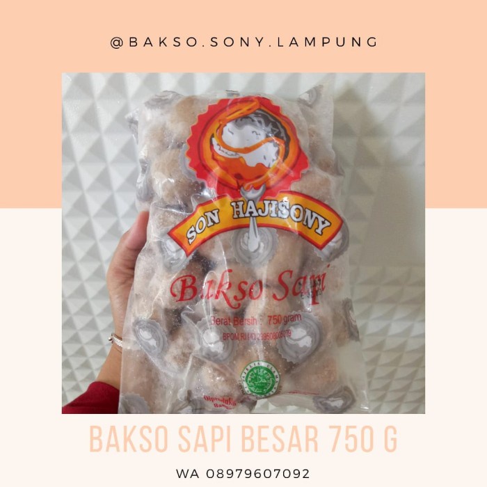 

TERLARIS Bakso Besar Sonhaji Sony Lampung Isi 50 Butir Tanpa Bumbu